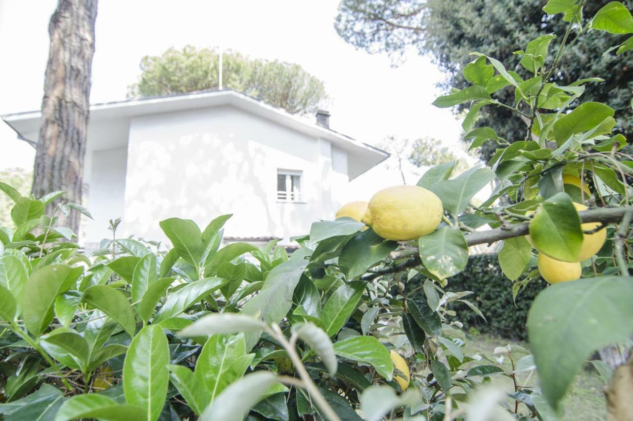 Appartamenti Federica Milano Marittima Buitenkant foto